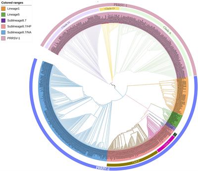 Genetic variation and recombination analysis of the GP5 gene of the porcine reproductive and respiratory syndrome virus in Thailand